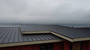 Best Roof Coating and Sealing  in Moweaqua, IL